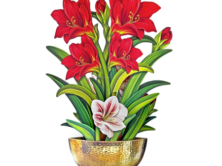 Fresh Cut Paper 3D Pop Up Flower Greeting Note Card – Scarlet Amaryllis – 6  x 5  Hot on Sale