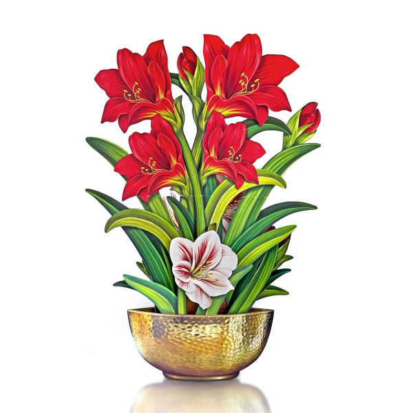 Fresh Cut Paper 3D Pop Up Flower Greeting Note Card – Scarlet Amaryllis – 6  x 5  Hot on Sale